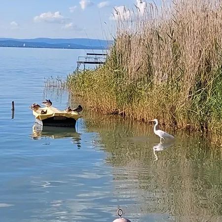 Arany Apartmanhaz Siofok *